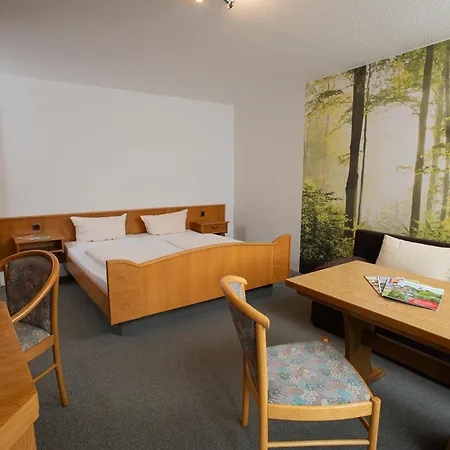 Hotel Zum Stern 3*